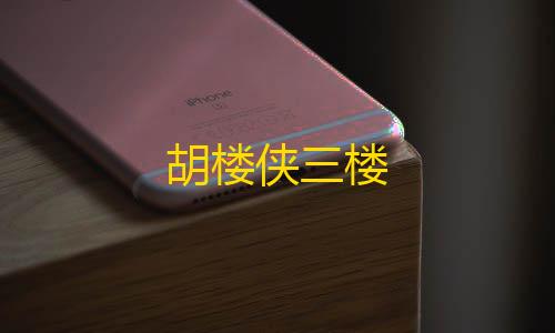 2025暗区透视开挂胡楼侠三楼